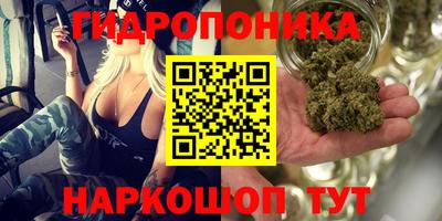 тгк Славянск-на-Кубани