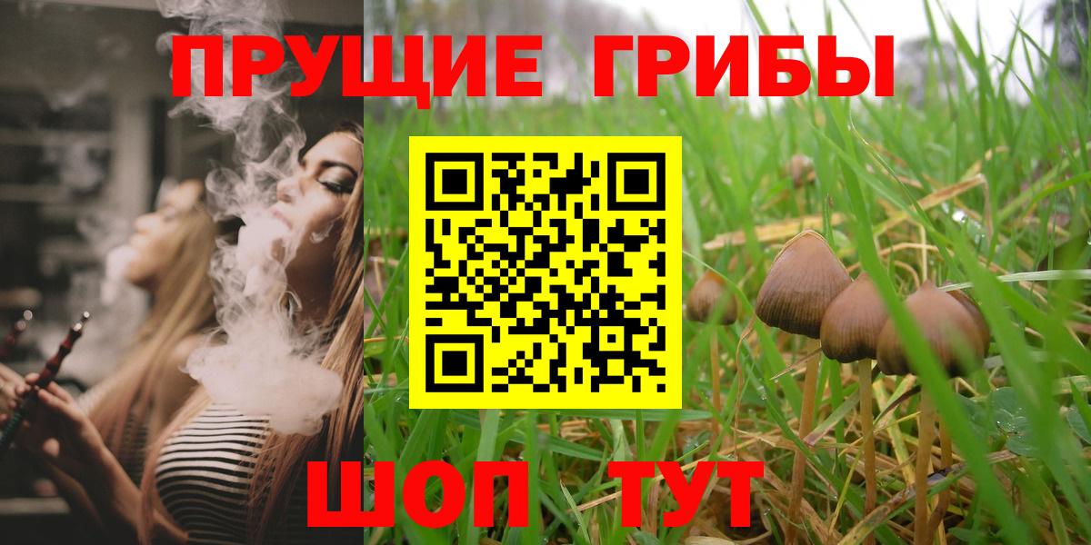 Псилоцибиновые грибы MAGIC MUSHROOMS  Галлюциногенные грибы MAGIC MUSHROOMS  Отрадное  Вход с VPN 