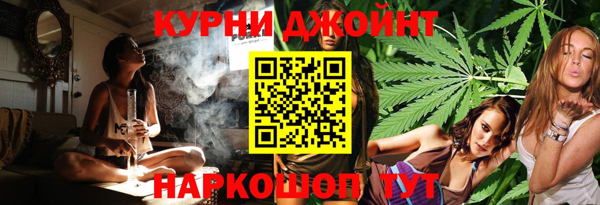 Марихуана сатива Отрадное
